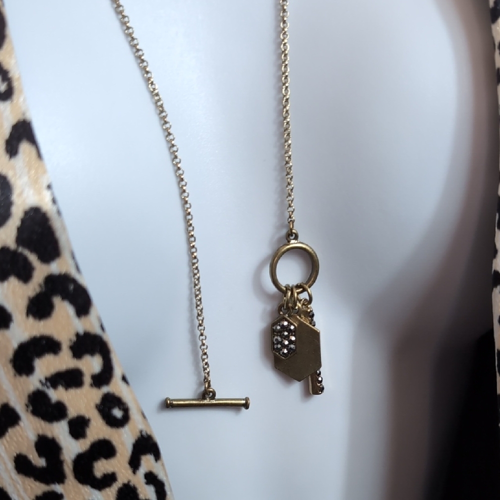 Lariat Style Necklace with Bar and Hexagon Medallions